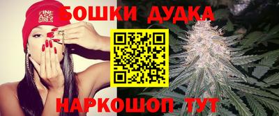 прущие крисы Тверь