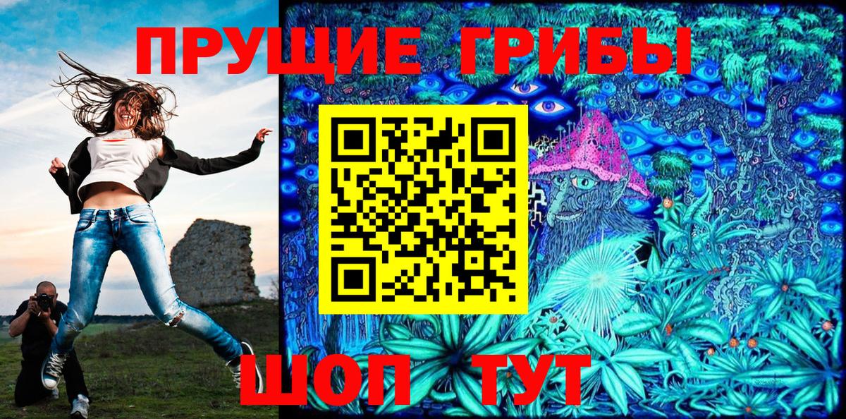 Галлюциногенные грибы Psilocybe  Галлюциногенные грибы прущие грибы  Боровичи  Вход с VPN 